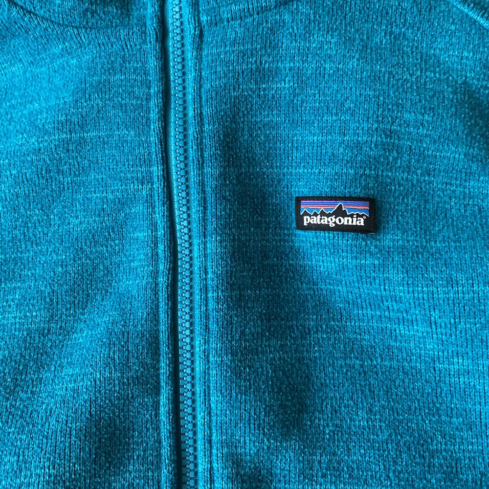 Patagonia Fleece Hoodie